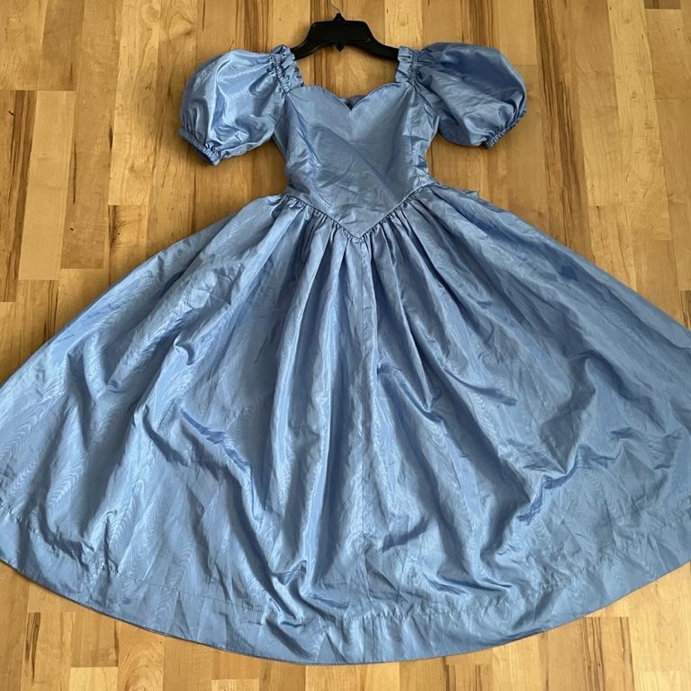 Princess Gowns - Picture 4 of 5